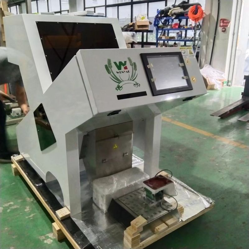WENYAO 1 Schieberoptische Farbsortiermaschine Dehydrierte getrocknete Kastanien Farbsorter