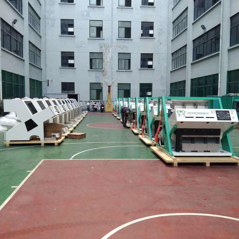 Wenyao 2025 Newest Chinese Factory Optical Ccd Color Sorter Almond Pistachio Cocoa Nut Color Sorting Machine