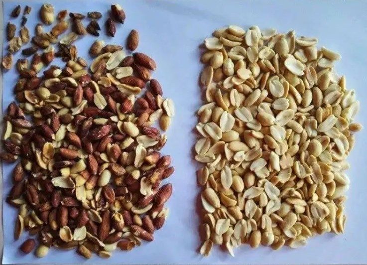 Wenyao Nut Processing Equipment Color-Sortierer mit Licht der CD-Kamera-LED