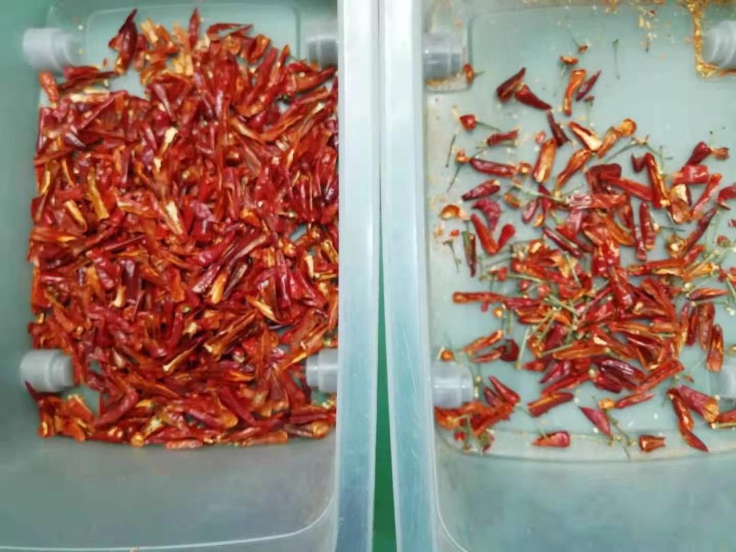 Wenyao Schwerlast intelligente RGB CCD Kamera Chili Pfeffer Knoblauch Farb Sortiermaschine