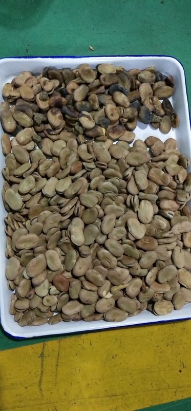 WENYAO 5-Kanal-Farbsortierer für Brechbohnen für die Industrie