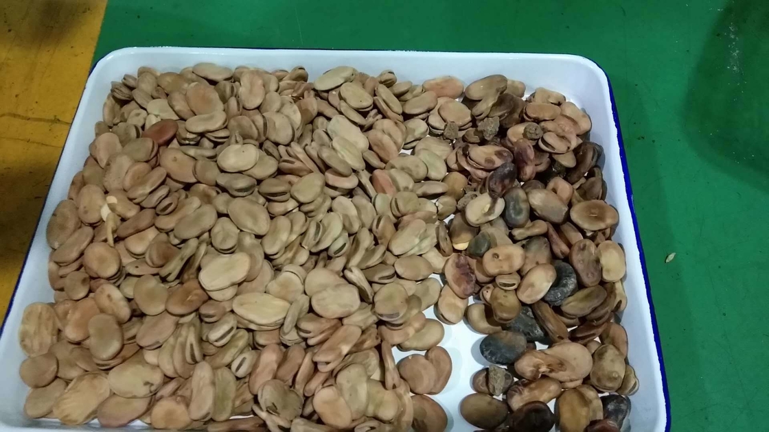 WENYAO 5-Kanal-Farbsortierer für Brechbohnen für die Industrie