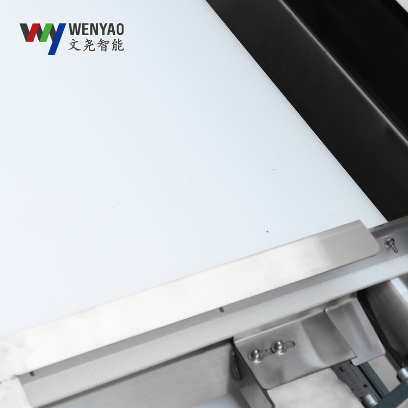 Wenyao Belt Color Sorter with OSRAM LED for Fruits Vegetables