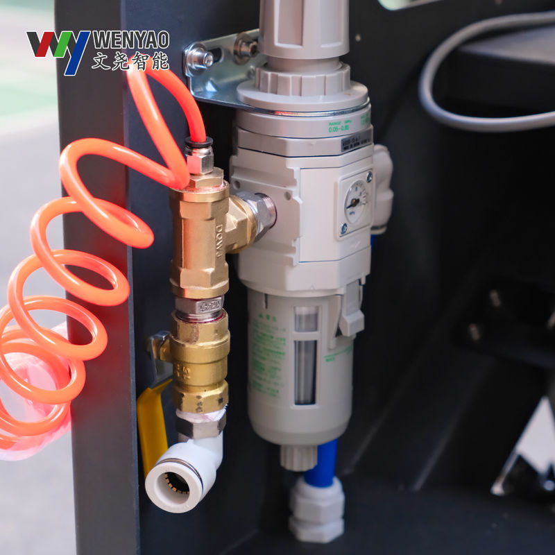 CCD Belt Color Sorter for Fruits and Vegetables with 99.99% Accuracy