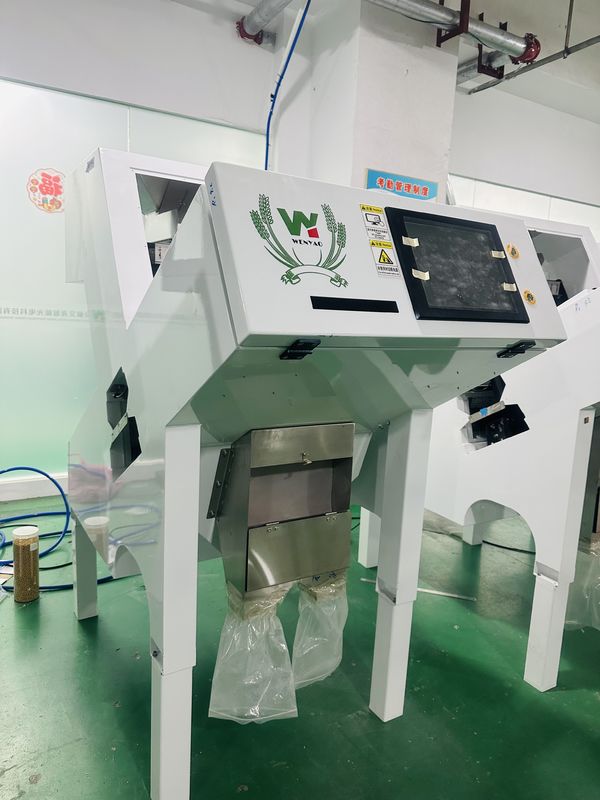 Wenyao Automatische Schwarzpfeffer-Farbsortiermaschine für hochpräzise Saatgut- und Bohnensortierung