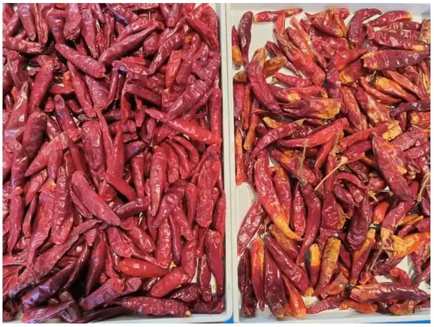 Guter Preis Optisches intelligentes Sehen Chili Sortiermaschine Mineralöl Kohle Brennstoff Farbsorter