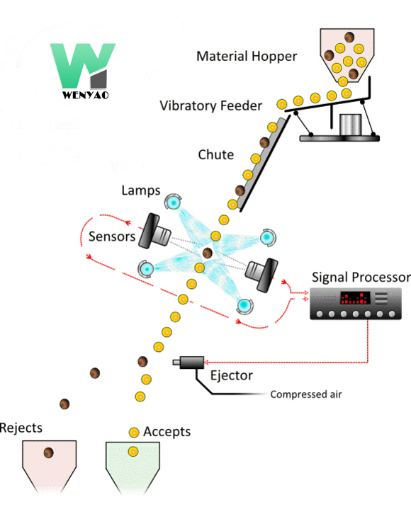 Weanyao 10 Schacht Großraum 304 316 Edelstahl Intelligente Farbsortiermaschine für Salz