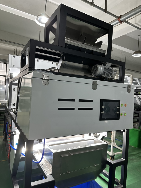 WENYAO Optical Belt Farbsorter Hibiskus Zimtstangen Chili Farbsortiermaschine mit hoher Sortiergenauigkeit