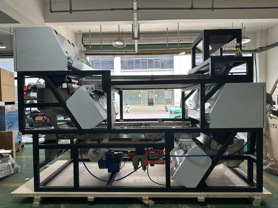 WENYAO Optical Belt Farbsorter Hibiskus Zimtstangen Chili Farbsortiermaschine mit hoher Sortiergenauigkeit