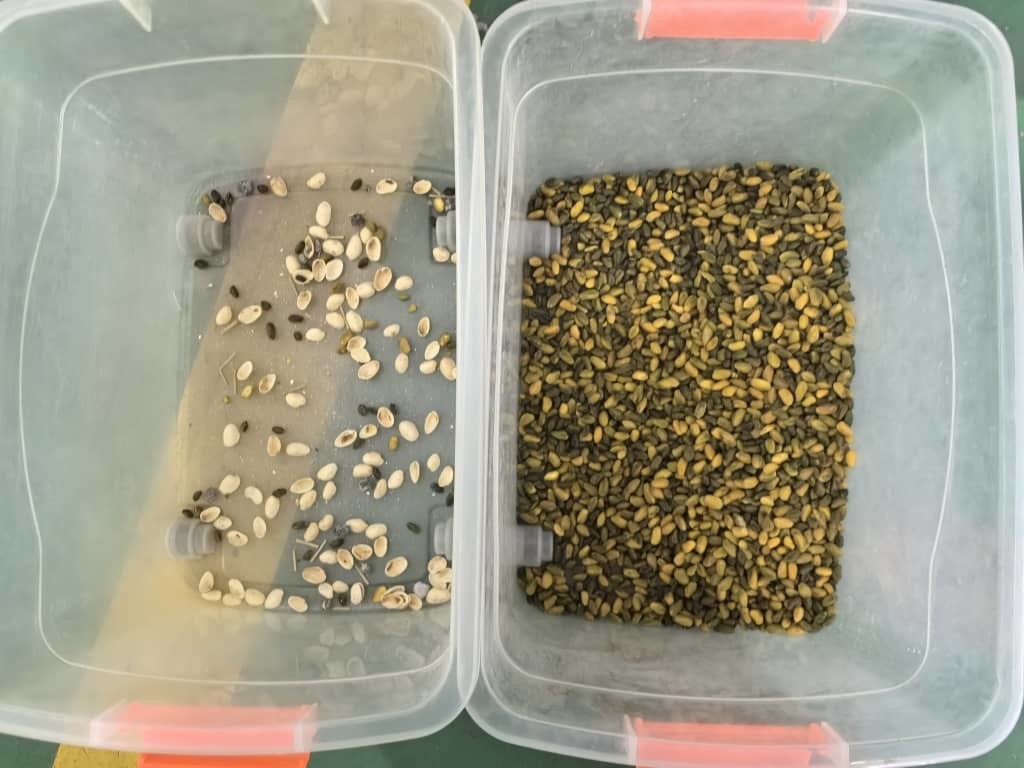 WENYAO Optical Sorter Machine Industrial Small Professional Color Sorter for Chestnut Pistachio Nut Selection