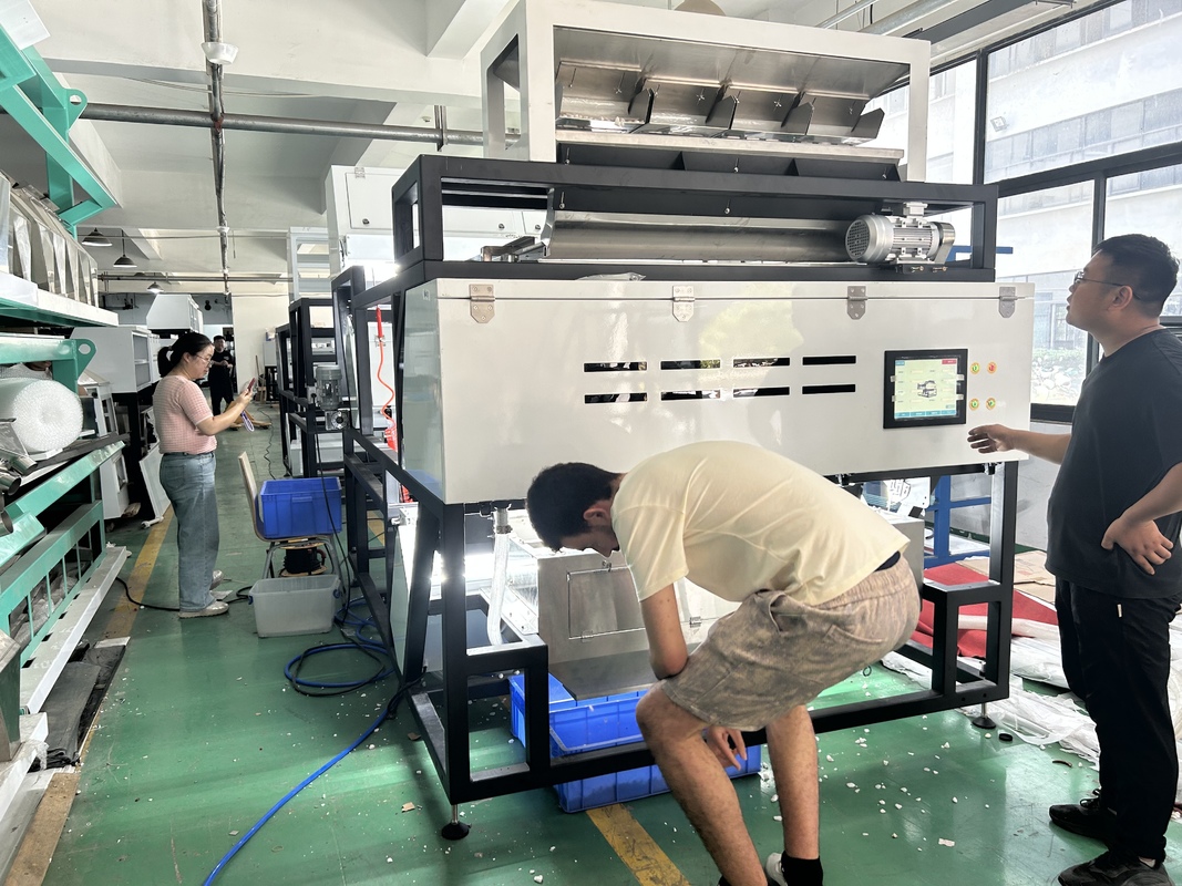 Optical WYDB4 Soapberry Color Sorting Machine for Soup Pods Color Separator Machine With High Sorting Capacity