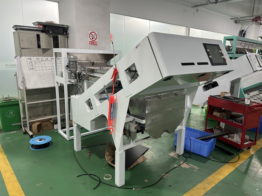 WENYAO 600mm Width Belt Color Sorter Optical Coffee Cherry BlueBerry Color Sorting Machine for Sale