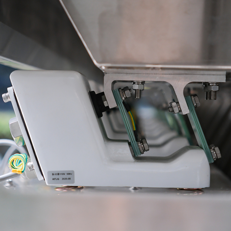 CCD-Farbsortierer für Erdnüsse, Mandeln, Walnüsse. Intelligente Farbsortiermaschine mit hoher Genauigkeit