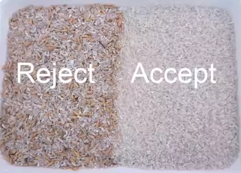 Multifunktionale Nüsse Cashew Nüsse Erdnüsse Walnüsse Haselnüsse Farbsorter Farbtrennmaschine