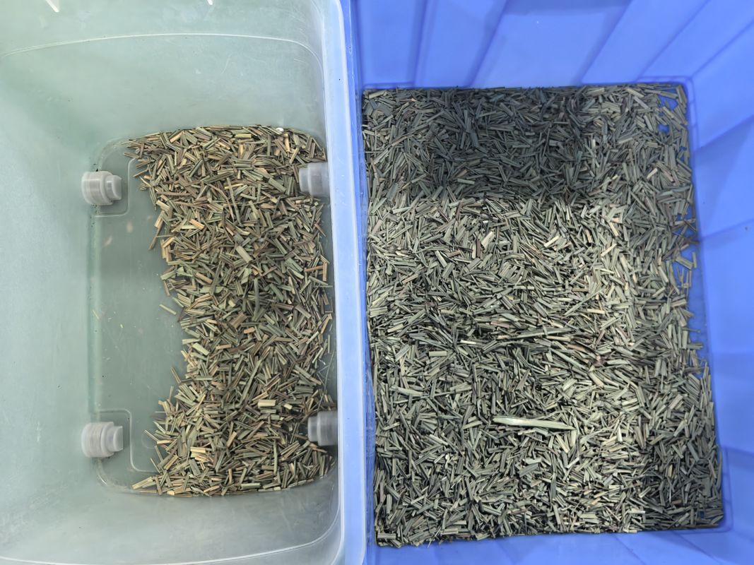 WENYAO CCD Gewürzfarbsorter Optische Zitronengrasfarbsortiermaschine mit Fabrikpreis