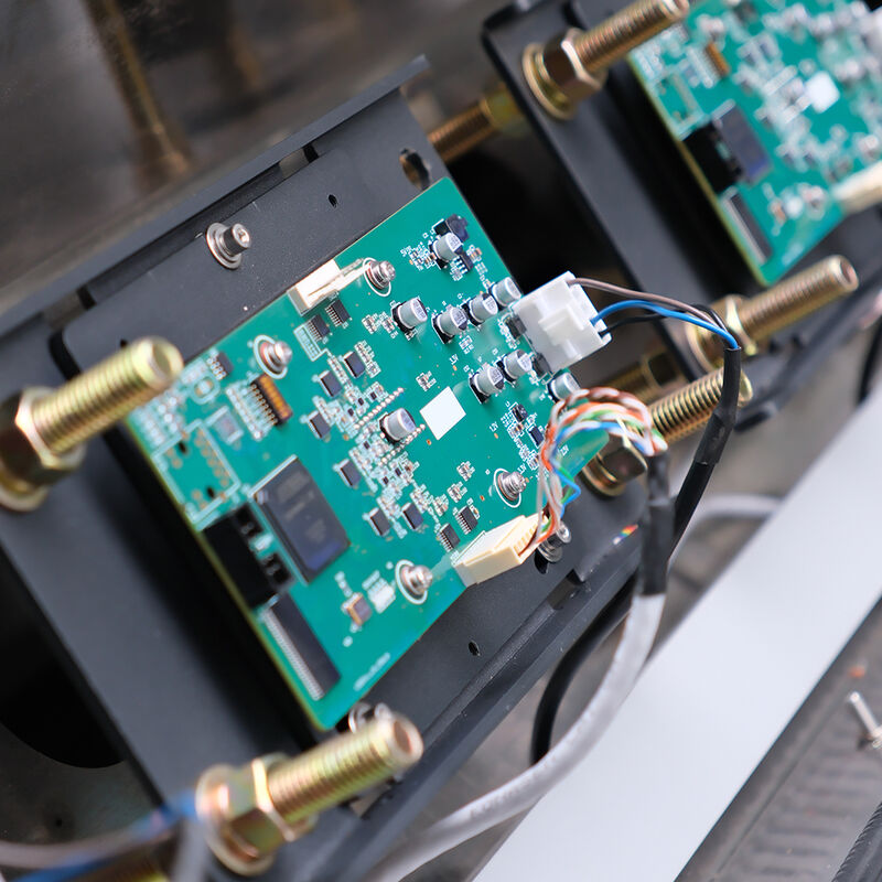 Automatischer Farbsorter für Erdnüsse Mandeln Walnüsse Intelligente Farbsortiermaschine mit hoher Genauigkeit