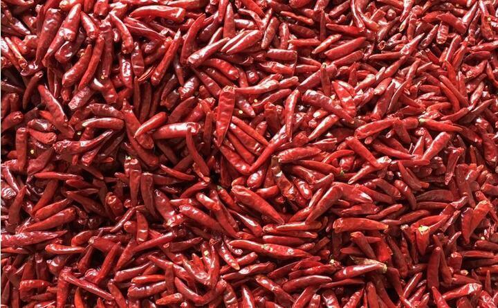 Wenyao Schwerlast-intelligente Farbsortermaschine mit RGB-CCD-Kamera für die Sortierung von Chili-Pfeffer-Knoblauch und 1000-1500 kg/h Leistung mit Wifi-Fernbedienung