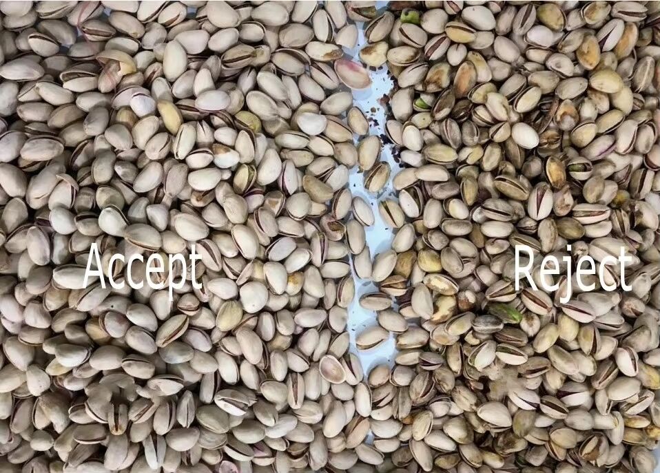 Wenyao Automatischer Nusssorter mit TOSHIBA CCD Sensor, Edelstahl 304 Food Grade Hopper und Wifi Fernbedienung für hocheffiziente Nusssortierung