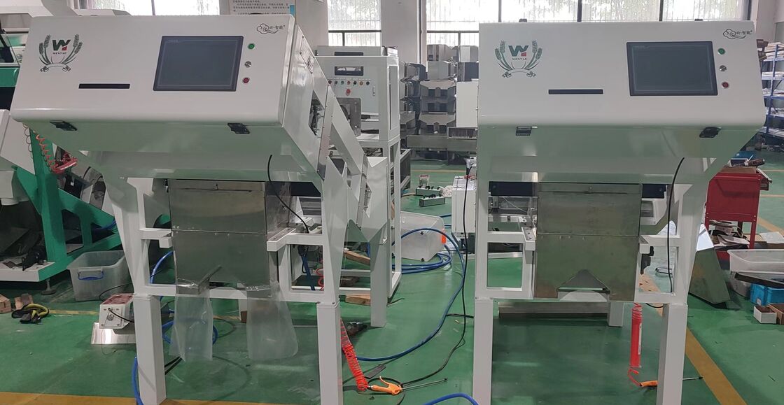 Kompakter Bandfarbsortierer mit TOSHIBA Sensor und Wifi-Fernbedienung für effizientes Fruchtsortieren