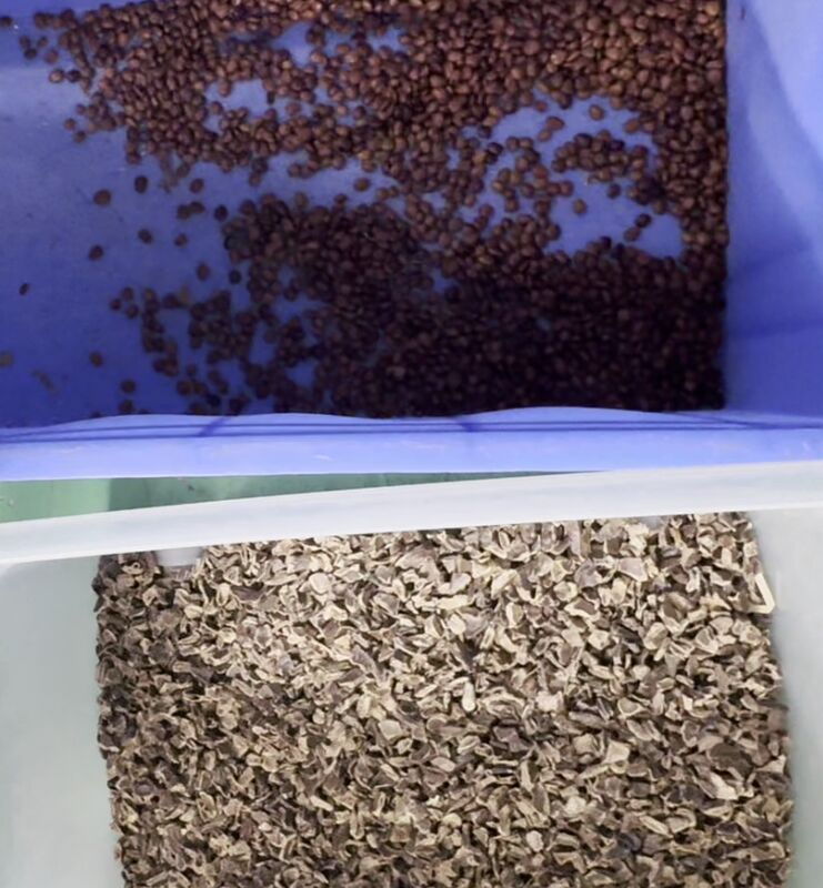 Wenyao 2025 Hochpräzision Neues Intelligentes Doppelgürtel Farb Seife Pod Farb Sorter Maschine mit WIFI Fernbedienung