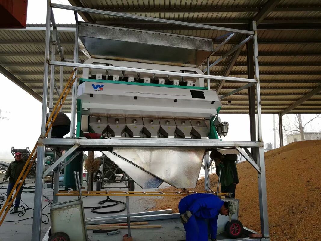 Wenyao 7 Chute Intelligente CCD-Kamera Farbsorter für Getreide Optische Sortierung Mais Mais Farbsorter Maschine für Getreide Nuss Reis