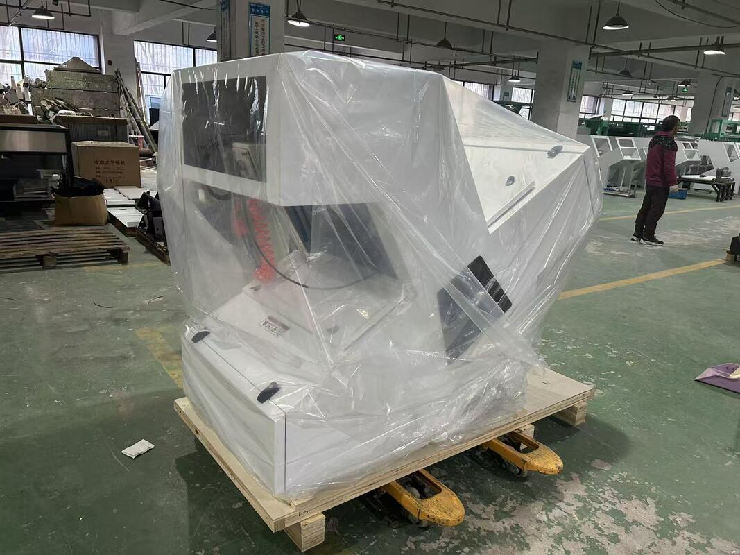 WENYAO 1 Schieberoptische Farbsortiermaschine Dehydrierte getrocknete Kastanien Farbsorter