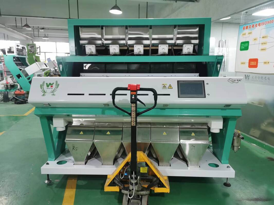 Hochwertige Erdnuss-Sortiermaschine für Erdnüsse, Walnüsse, Mandeln, Haselnüsse und Pistazien von Wenyao China