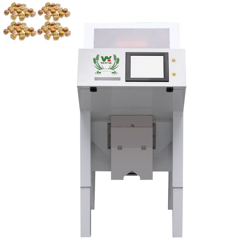 WENYAO 1 Schieberoptische Farbsortiermaschine Dehydrierte getrocknete Kastanien Farbsorter