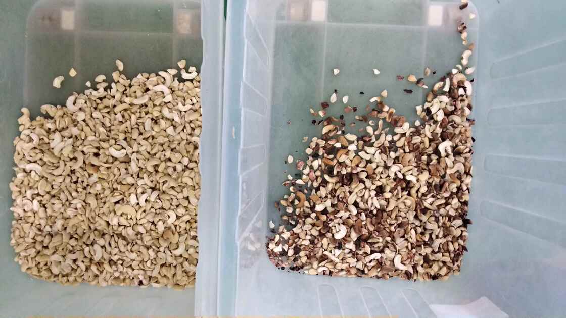 Wenyao Professionelle Nusstrennmaschine Cashewnuss Walnuss Arecanuss Farbsortiermaschine mit WIFI-Fernbedienung