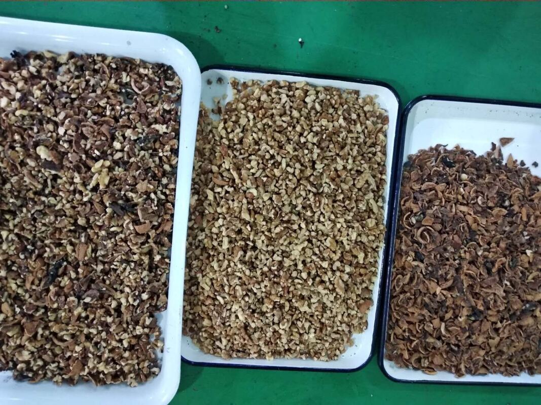 Wenyao Professionelle Nusstrennmaschine Cashewnuss Walnuss Arecanuss Farbsortiermaschine mit WIFI-Fernbedienung