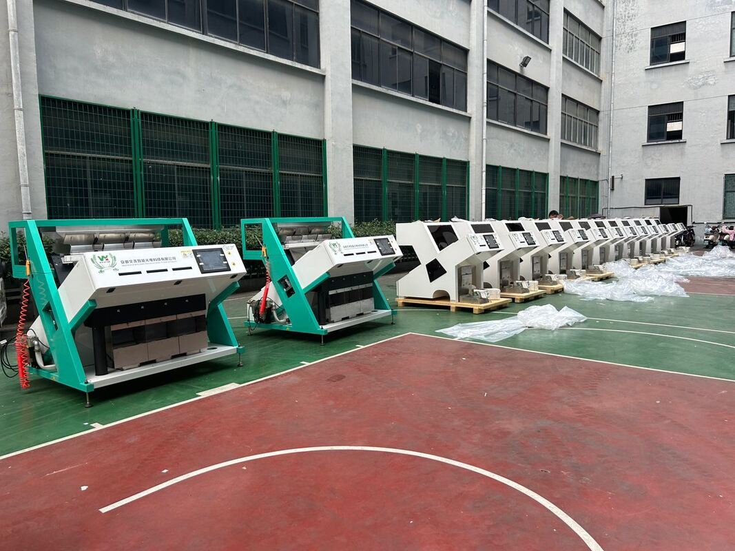 Wenyao Heißverkaufs-Optikfarbsortierer  Kaffeebohnen-Farbsortiermaschine