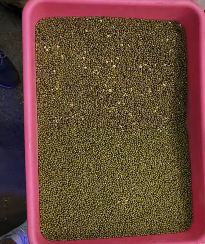 Wenyao 10 Chute 640 Kanäle Farbsortermaschine mit großer Kapazität für Bohnen Mung Bohnen Nieren Bohnen Optischer Sorter für die Nusssortierung