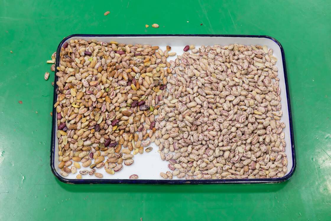 Wenyao 10 Chute 640 Kanäle Farbsortermaschine mit großer Kapazität für Bohnen Mung Bohnen Nieren Bohnen Optischer Sorter für die Nusssortierung