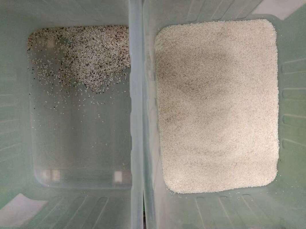 Wenyao Hochgenauigkeitssortiermaschine für Reisfarbsortierer Optische Sortierermaschine zur Getreidereinigung mit Luftkompressor-Luftbehälter