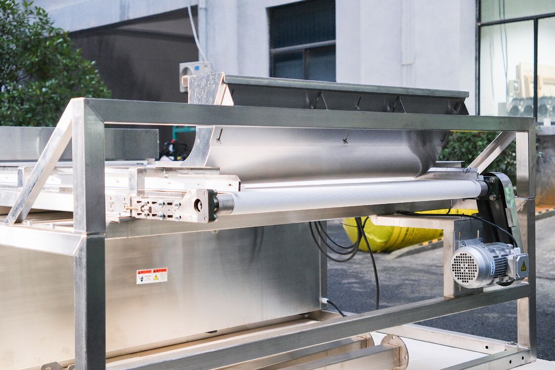 Wenyao Juniper Berry Color Sorter Wide Belt Stainless Steel Blueberry Strawberry Raspberry Color Sorting Machine Factory Price with CE Certificate Remote Control