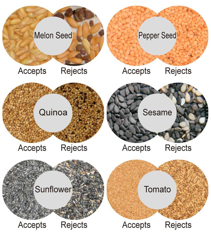 WENYAO Nut Color Sorter with 2400-4000kg Capacity and 0.999 Accuracy for Macadamia Nuts Sorting