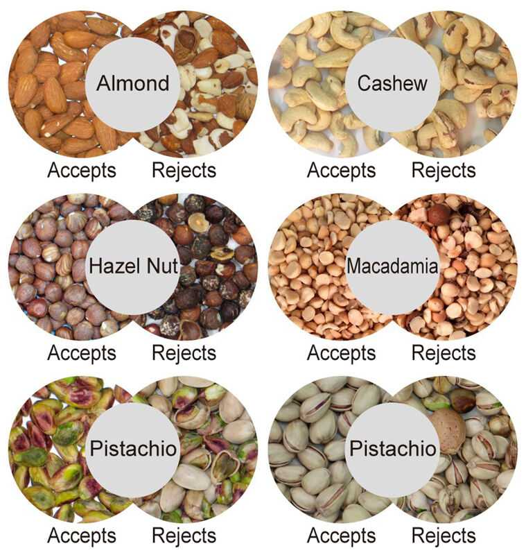 WENYAO Nut Color Sorter with 2400-4000kg Capacity and 0.999 Accuracy for Macadamia Nuts Sorting