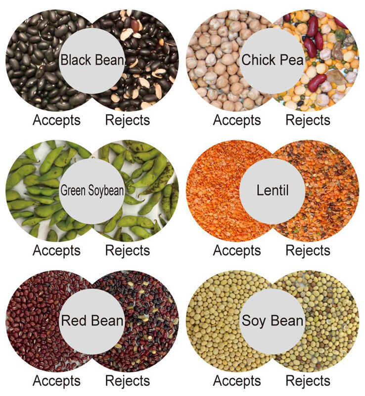 WENYAO KI-Kamera Nussfarbsortierer mit Vollfarberkennung, stabilem Betrieb und ≥99,99% Genauigkeit für Walnüsse