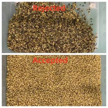 High Accuracy Grain Color Sorter with 3-8TPH Output and ≥99.99% Sorting Accuracy for Rice Buckwheat Quinoa Wheat Millet