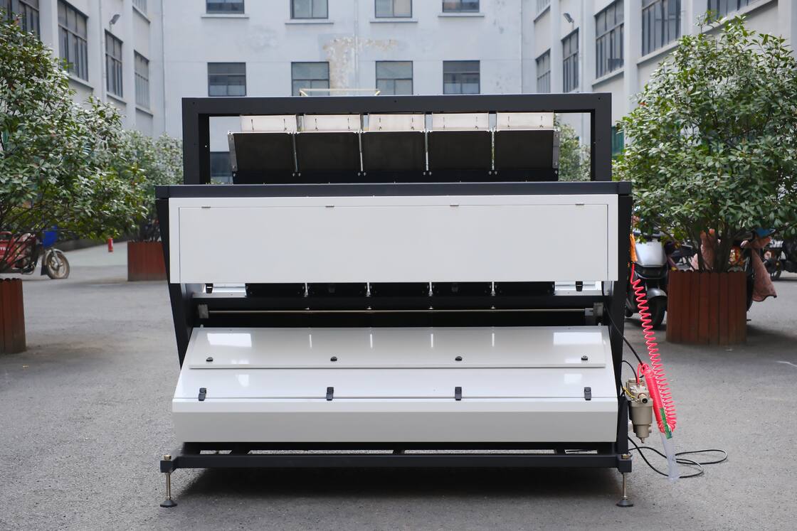 Wenyao 5 Chute Intelligente optische Sortierer Automatische Walnuss Farb Sortierer Kernel und Shell Pine Nut Farb Sortierer