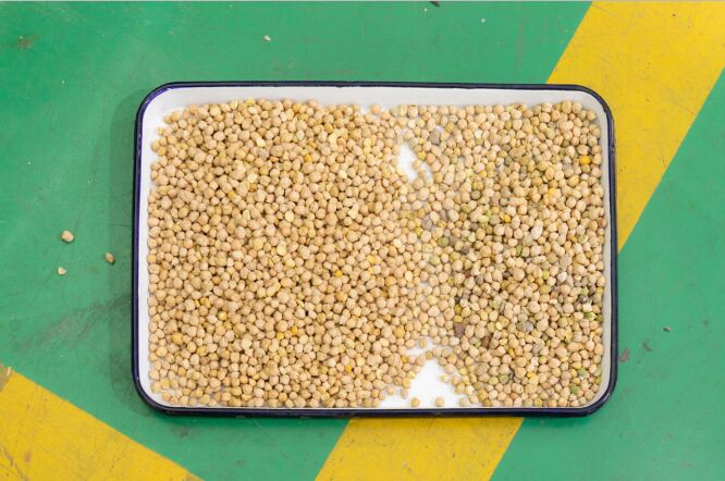 Wenyao 5 Chute Intelligente optische Sortierer Automatische Walnuss Farb Sortierer Kernel und Shell Pine Nut Farb Sortierer