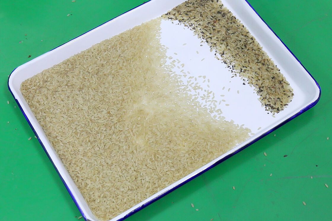 WENYAO Intelligente 4-Schacht-Optik-Getreidesortiermaschine Hohe Genauigkeit und 2-4 T/H Kapazität Reis-Weizen-Sortiermaschine