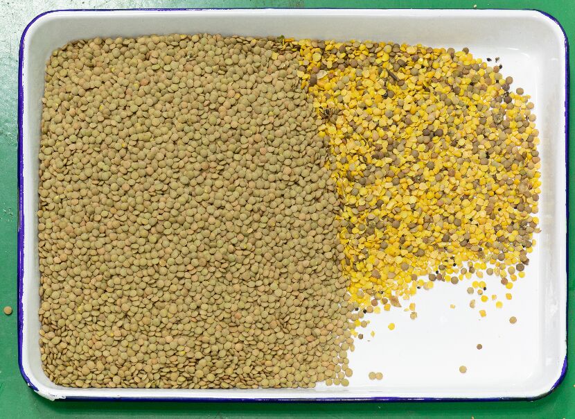 CE-zertifizierte automatische Getreide-Optik-Farbsortiermaschine für schwarze Bohnen, Kaffeebohnen, Linsen, Farbsortiermaschine zu verkaufen 2026