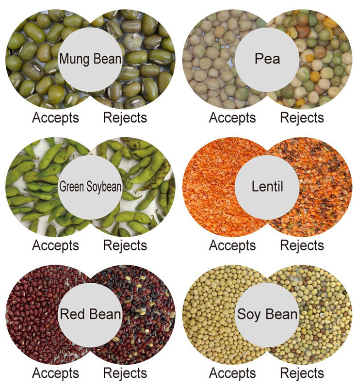 WENYAO Kaffeebohnen Sortiermaschine KI Farbe & Form Sorter 99,99% Genauigkeit 2500-8000kg/h Kapazität Hohe Reinheit 2-Jahres Garantie