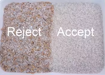 Bestselling Color Sorter For  Rice Wheat Separating Machinie Corn Kernels Grain Shape Separator