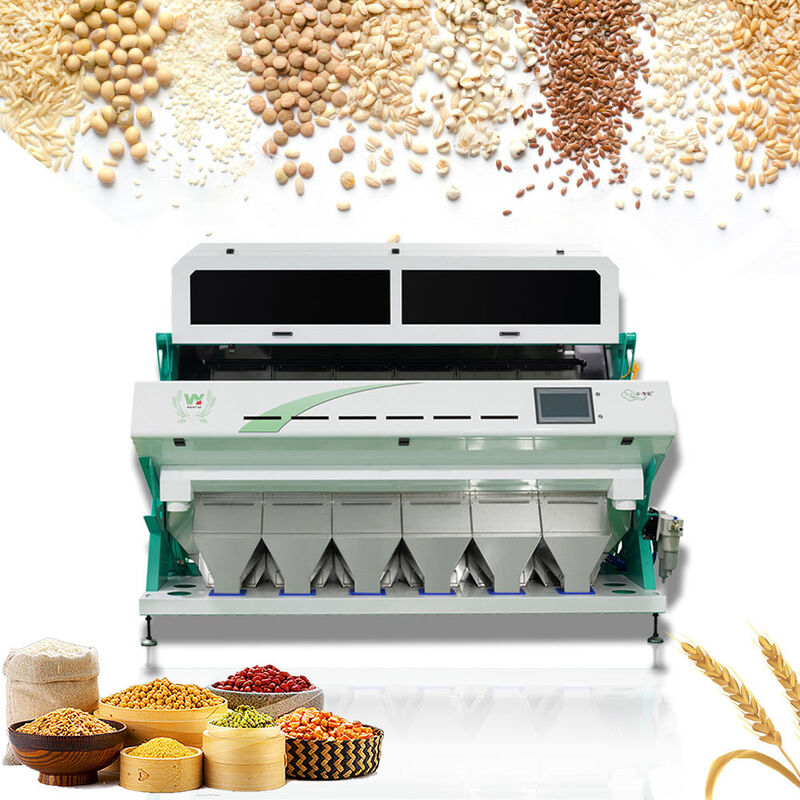 Multifunktions-Kaffeebohnen-Farbsortierer Hocheffizienter optischer Sortierer für Nüsse, Bohnen und dehydriertes Gemüse