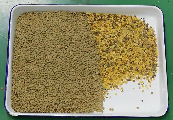 CE ISO-zertifizierte automatische Farbsortiererin mit hohem Leistungsgrad für optische Farben Schwarze Bohnen Kaffeebohnen Linsen Farbsortiermaschine 2026