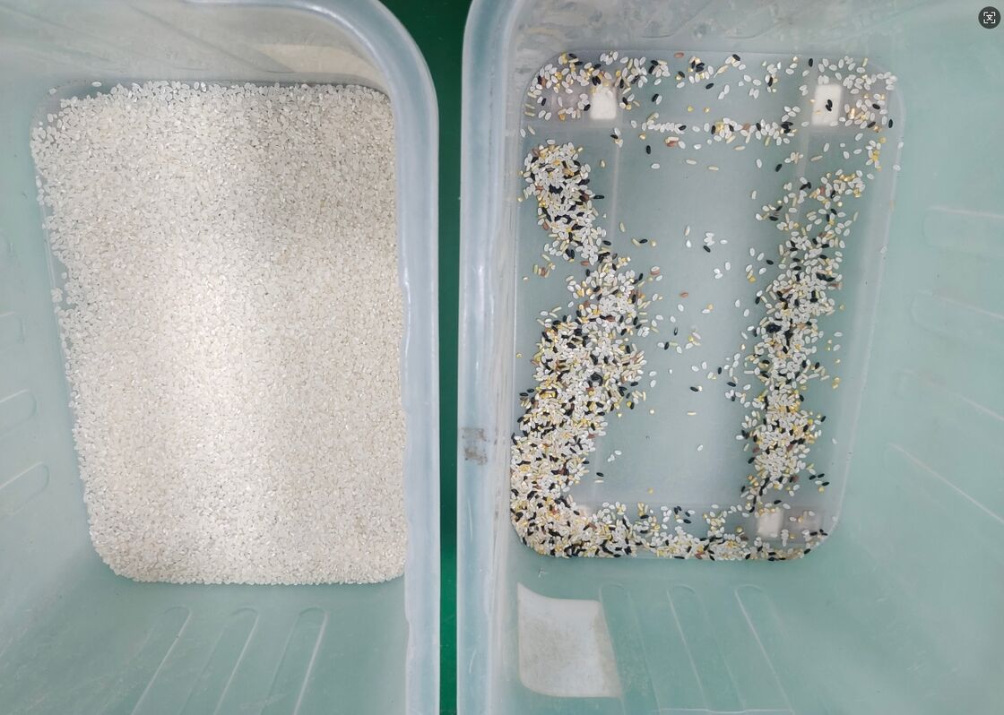 China Automatische Hochtechnologie Reis optische Farbsorter Sesam Mais Verarbeitung Farb Sortiermaschine