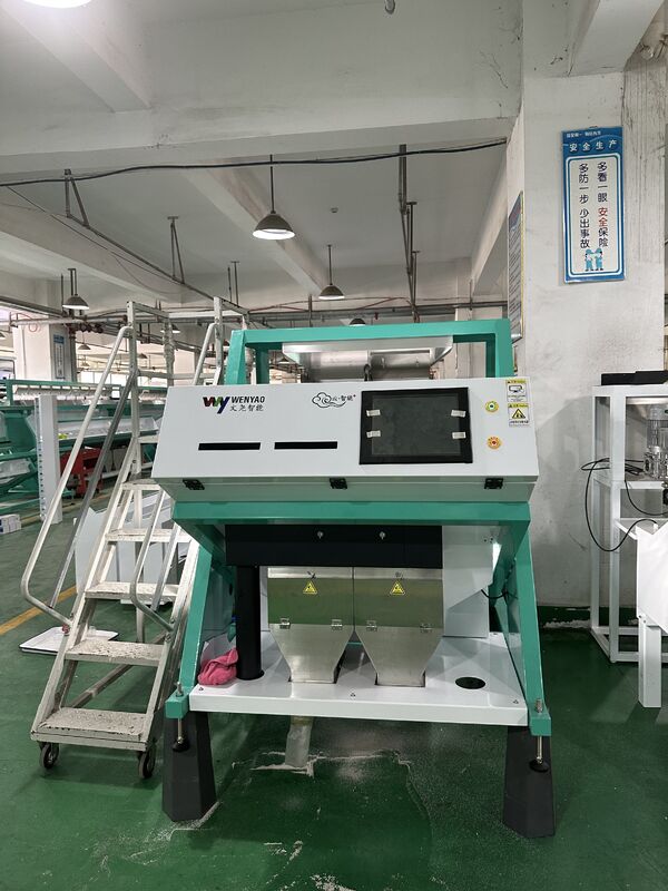 Wenyao 2026 Latest  Macadamia Nut Colour Sorting Machine Cashew Nuts Colour Sorting Machine Color Sorter