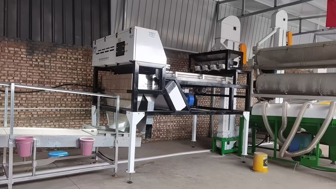 Automatischer Quarzkornfarbsorter mit 99,99% Sortiergenauigkeit und doppelseitiger Kameraerkennung